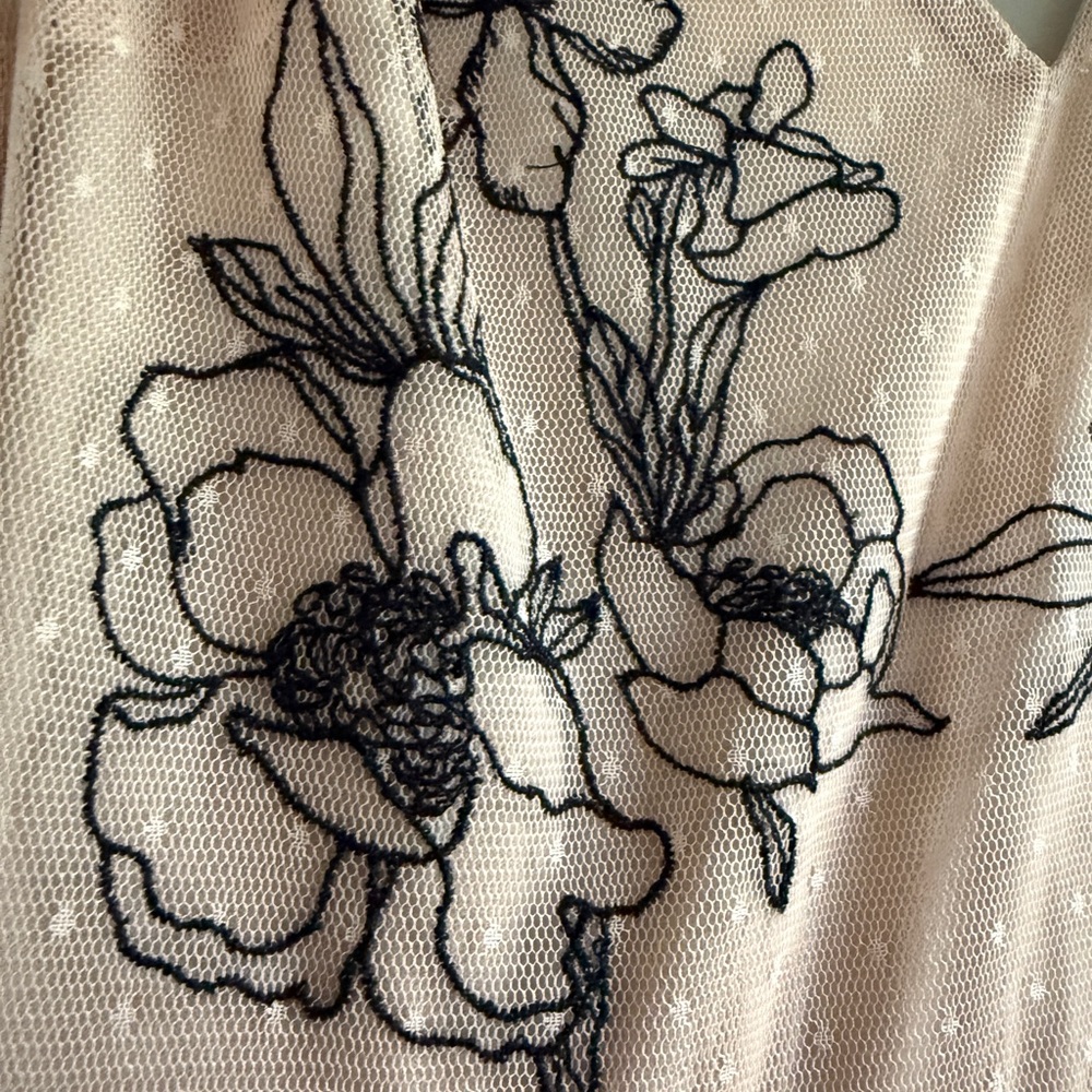 Express Pink Tulle Dress with Black Straps, Embroidered - Picture 5 of 11